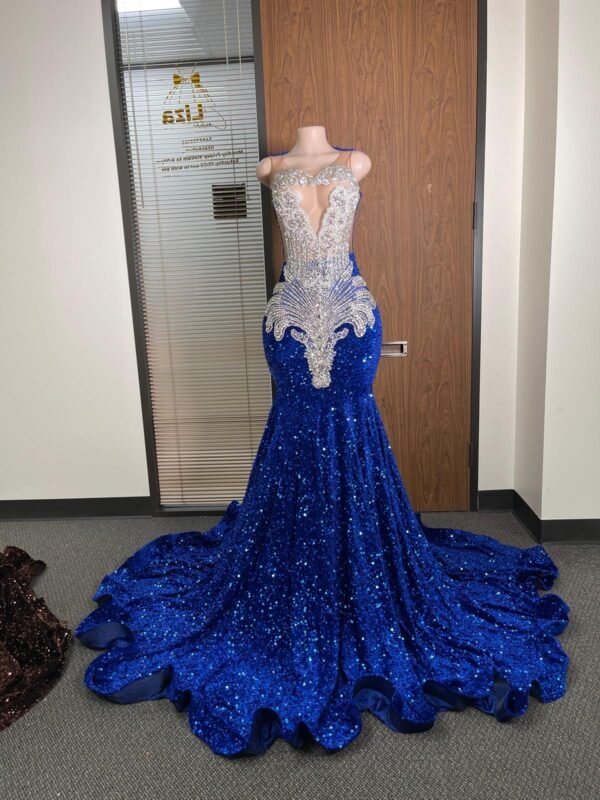 Taniya Blue Dress
